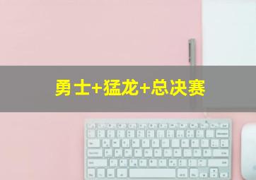 勇士 猛龙 总决赛